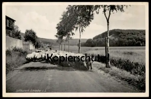 ALTE POSTKARTE SCHIEDER SCHAFE SCHAFHERDE SCHAF SCHWALENBERG AN DER LIPPE Ansichtskarte AK cpa postcard