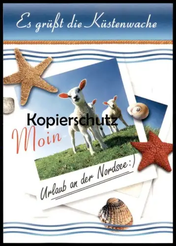 POSTKARTE STRANDGRÜSSE ES GRÜSST DIE KÜSTENWACHE MOIN NORDSEE LÄMMER MUSCHEL COQUILLAGE DE MER sea shell Ansichtskarte