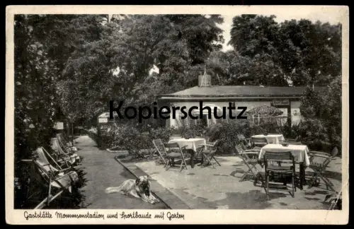 ALTE POSTKARTE GASTSTÄTTE MOMMSENSTADION UND SPORTBAUDE MIT GARTEN Hund dog chien postcard Ansichtskarte cpa AK