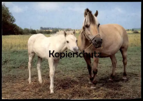 ALTE POSTKARTE MURNAU AM STAFFELSEE VOM FLUGZEUG AUS FLIEGERAUFNAHME LUFTBILD Ansichtskarte postcard cpa AK