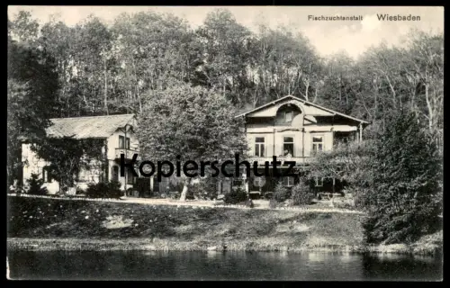 ALTE POSTKARTE WIESBADEN FISCHZUCHTANSTALT Fischzucht fish farm breeding pisciculture Fisch Ansichtskarte cpa postcard