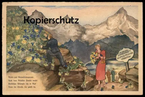 ALTE POSTKARTE REICHSSTELLE FÜR NATURSCHUTZ PFLANZENSCHUTZ Pflanzen Blumen flowers fleurs Verbot Ansichtskarte postcard