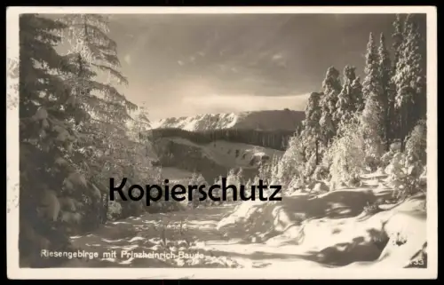 ALTE POSTKARTE RIESENGEBIRGE MIT PRINZ-HEINRICH-BAUDE SCHNEEKOPPE Krummhübel Karpacz Karkonosze Krkonose Ansichtskarte
