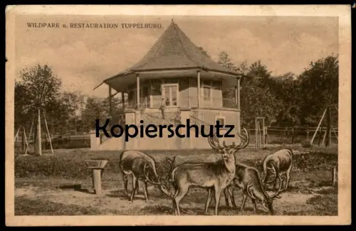 ALTE POSTKARTE WILDPARK RESTAURATION TUPPELBURG HIRSCHE TEPLITZ TEPLICE Dubi Eichwald ceska republika czech postcard cpa