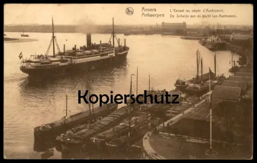 ALTE POSTKARTE ANVERS L' ESCAUT AU COUDE D' AUSTRUWEEL DE SCHELDE AAN DE BOCHT DAMPFER Hafen port steam ship Schiff cpa