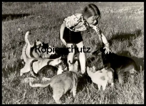 ÄLTERE POSTKARTE MÄDCHEN MIT HUND & KATZEN KIND child enfant Katze cat chat cats dog chien Ansichtskarte cpa postcard