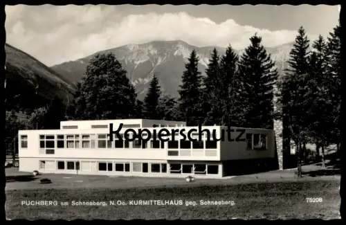 ÄLTERE POSTKARTE PUCHBERG AM SCHNEEBERG KURMITTELHAUS GEGEN SCHNEEBERG Ansichtskarte AK cpa postcard