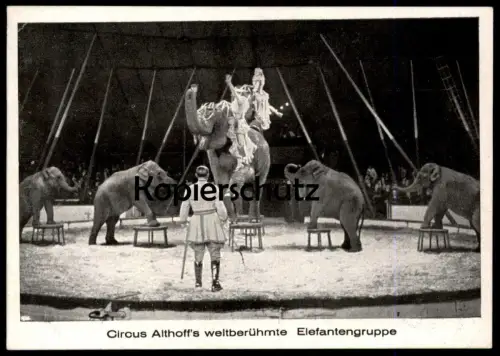 ALTE POSTKARTE ELEFANTENGRUPPE CIRCUS ALTHOFF Elefanten Zirkus elephant Elefant elephants tusker Ansichtskarte postcard