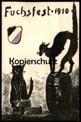 ALTE POSTKARTE ALFELD LEINE FUCHSFEST 1910 KATZE FUCHS Burschenschaft Studentika cat chat Ansichtskarte AK cpa postcard