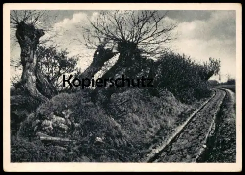 ALTE POSTKARTE LENGERICH IN WESTFALEN WALLHECKE (BEI RINGEL) Ansichtskarte AK postcard cpa