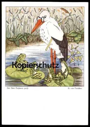ALTE POSTKARTE DER HERR PROFESSOR PRÜFT FROSCH STORCH HANS WOLFF VON PONICKAU frog stork