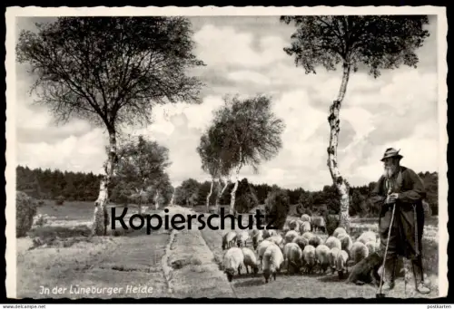 ÄLTERE POSTKARTE IN DER LÜNEBURGER HEIDE Beruf Hirte Schäfer sheepherder berger sheep Schaf Schafe postcard AK