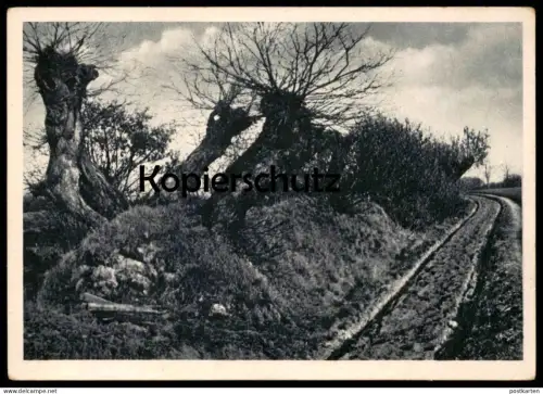 ALTE POSTKARTE LENGERICH IN WESTFALEN WALLHECKE (BEI RINGEL) Ansichtskarte AK postcard cpa