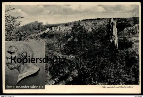 ÄLTERE POSTKARTE HOMO NEANDERTALENSIS NEANDERTALER NEANDERTHALER Frühmensch