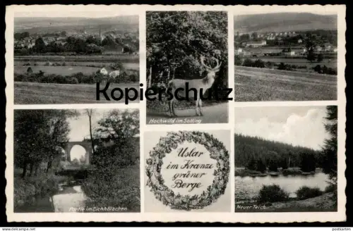 ÄLTERE POSTKARTE USLAR IM KRANZE GRÜNER BERGE HOCHWILD IM SOLLING PARITE IM EICHHÖLZCHEN NEUER TEICH