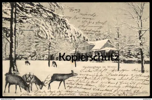 ALTE POSTKARTE HEUBERGHAUS IM WINTER REH HIRSCH FRIEDRICHRODA Wild Rehe Hirsche roe deer Ansichtskarte AK postcard cpa
