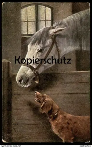 ALTE KÜNSTLER POSTKARTE HUND MIT PFERD SCHIMMEL white horse dog cheval blanc chien Ansichtskarte AK cpa postcard