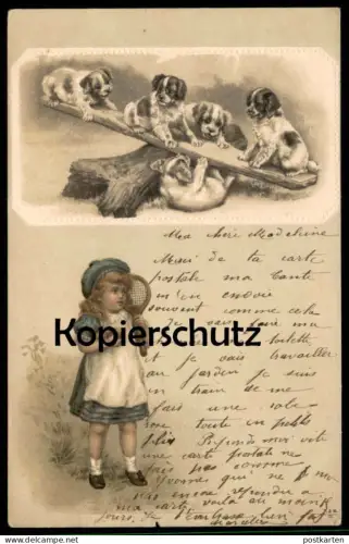 ALTE POSTKARTE MÄDCHEN MIT LAWN TENNIS SCHLÄGER HUNDE SPIELEN WELPEN AUF WIPPE BERNHARDINER Ansichtskarte postcard cpa