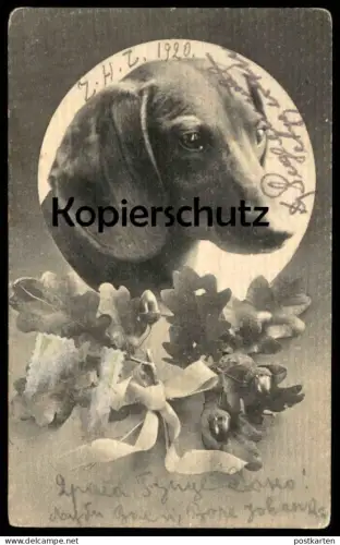 ALTE POSTKARTE DACKEL EICHENLAUB EICHELN EICHE HUND Dachshund Teckel basset dog chien 1920 Verlag aus Berlin AK postcard