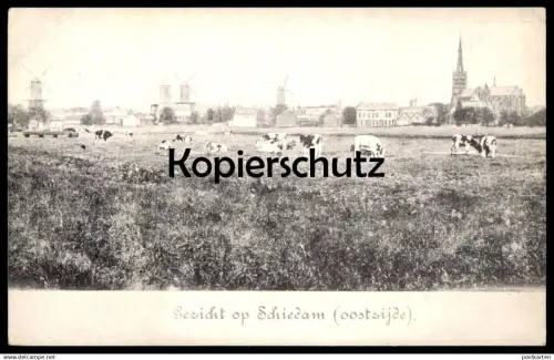 ÄLTERE REPRODUKTION REPRO POSTKARTE GEZICHT OP SCHIEDAM OOSTSIJDE Pays-Bas Nederland Ansichtskarte postcard cpa AK