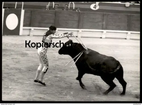 ALTES ORIGINAL FOTO STIERKAMPF PALMA DE MALLORCA BANDERILLERO STIER ISLAS BALEARES LA CORRIDA TOROS TORERO PHOTO