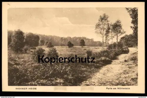 ALTE POSTKARTE WAHNER HEIDE PARTIE AM MÜHLENTEICH TEICH PANORAMA WAHN-HEIDE KÖLN Ansichtskarte AK cpa postcard