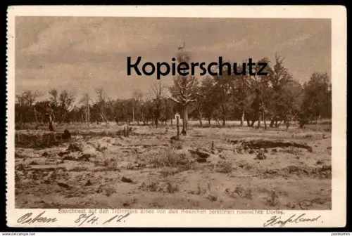 ALTE POSTKARTE STORCHNEST AUF DEN TRÜMMERN EINES VON KOSAKEN ZERSTÖRTEN DORFES RUSSLAND torchennest Storch stork's nest