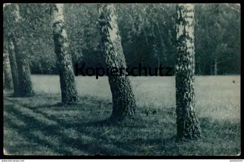 ALTE POSTKARTE LITAUISCHE LANDSCHAFTEN Litauen Lietuva Lituanie Lithuania Landschaft landscape postcard AK Ansichtskarte