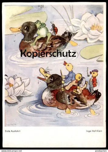 ALTE POSTKARTE PHANTASIE ERSTE AUSFAHRT FROSCH KÄFER ENTE GEKLEIDET INGE HOF-KLEIN frog beetle duck AK cpa postcard