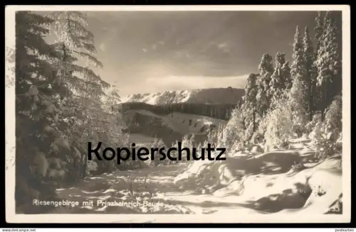 ALTE POSTKARTE RIESENGEBIRGE MIT PRINZ-HEINRICH-BAUDE SCHNEEKOPPE Krummhübel Karpacz Karkonosze Krkonose Ansichtskarte
