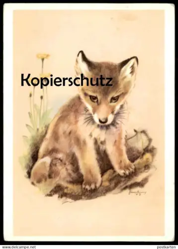 ÄLTERE POSTKARTE JUNGFUCHS MALER HANS LANG INNSBRUCK FUCHS fox renard Ansichtskarten AK cpa postcard