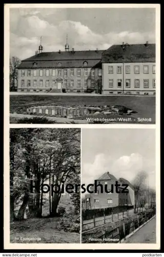ALTE POSTKARTE WILLEBADESSEN WESTFALEN SCHLOSS PENSION HOLLMANN DEUTSCHES HAUS IM EGGEGEBIRGE Ansichtskarte postcard AK