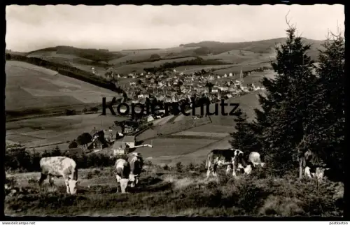 ÄLTERE POSTKARTE FURTWANGEN SCHWARZWALD PANORAMA KÜHE cows vaches Ansichtskarte AK cpa postcard