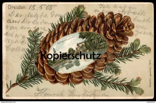 ALTE PRÄGE LITHO POSTKARTE DRESDEN ZWINGERTEICHPARTIE ZWINGER TEICH TANNENZAPFEN ZAPFEN Ansichtskarte AK postcard cpa