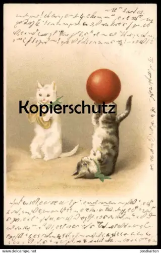 ALTE POSTKARTE KATZEN KATZE ZIRKUSARTIST ZIRKUS circus cirque cat cats chat chats Steno Stenografie postcard cpa AK