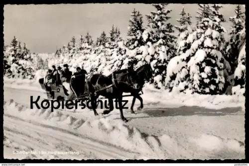 ÄLTERE POSTKARTE SCHLITTENFAHRT IM HOCHSAUERLAND SAUERLAND LUGE SLEDGE SLEIGH Neige Snow Horse Pferd Cheval postcard cpa