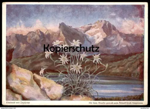 ÄLTERE POSTKARTE EDELWEISS MIT ZUGSPITZE ARNULF ERICH STEGMANN MIT DEM MUNDE GEMALT Alpen Ansichtskarte cpa postcard AK