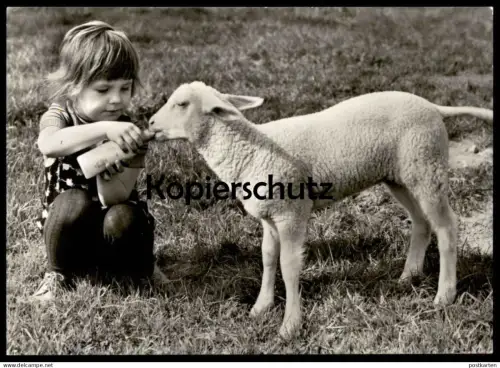 ÄLTERE POSTKARTE MÄDCHEN KIND FÜTTERT MIT FLASCHE EIN LAMM SCHAF PLANET VERLAG BERLIN sheep lamb Ansichtskarte AK