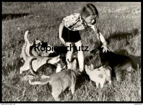 ÄLTERE POSTKARTE MÄDCHEN MIT HUND & KATZEN KIND child enfant Katze cat chat cats dog chien Ansichtskarte cpa postcard