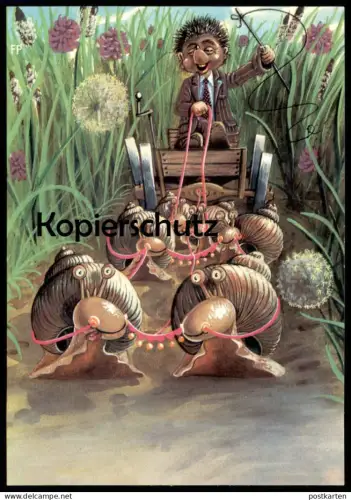 ÄLTERE POSTKARTE MECKI IN SCHNECKENKUTSCHE VERMENSCHLICHT SCHNECKE IGEL DDR PLANET VERLAG snail hedgehog AK postcard cpa