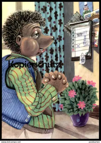 ÄLTERE POSTKARTE MECKI BETEND VOR KALENDER IGEL DDR PLANET VERLAG praying hedgehog Ansichtskarte postcard