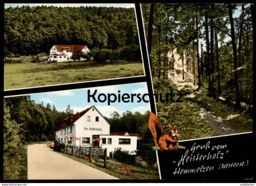 ÄLTERE POSTKARTE GRUSS VOM HEISTERHOLZ HEMMELZEN WESTERWALD EICHHÖRNCHEN ALTENKIRCHEN FLAMMERSFELD squirrel postcard AK