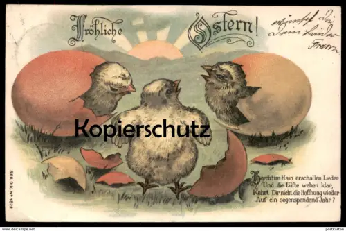 ALTE POSTKARTE FRÖHLICHE OSTERN KÜKEN EIER HORCH! IM HAIN ERSCHALLEN LIEDER UND... chick easter paques postcard AK cpa