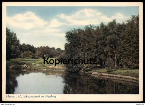 ALTE POSTKARTE HAMM IN WESTFALEN SCHWANENTEICH IM NORDRING Teich See Ansichtskarte AK postcard cpa