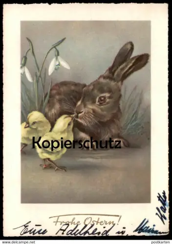 ÄLTERE POSTKARTE FROHE OSTERN HASE KÜKEN OSTERHASE easter hare rabbit lièvre paques buck chick Ansichtskarte AK postcard
