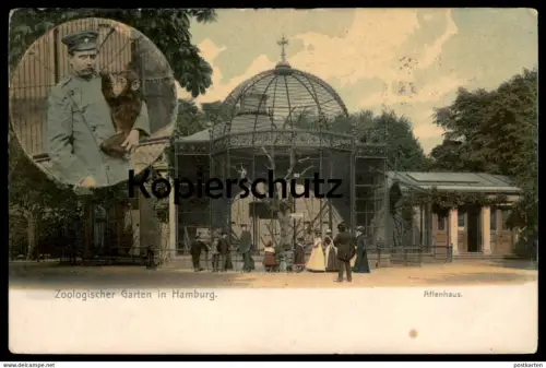 ALTE POSTKARTE ZOOLOGISCHER GARTEN HAMBURG AFFENHAUS WÄRTER ZOO AFFE ape singe monkey Tier animal cpa postcard AK