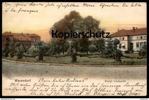 ALTE POSTKARTE WARENDORF KÖNIGLICHES LANDGESTÜT 1904 Ansichtskarte AK cpa postcard
