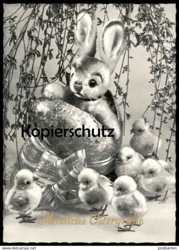 ALTE POSTKARTE HERZLICHE OSTERGRÜSSE KÜKEN OSTERHASE Ostern Easter poussin chick Schwarz-weiss Foto Photo cpa postcard