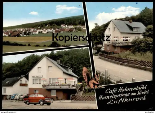 ÄLTERE POSTKARTE HAMELSPRINGE AM SÜNTEL CAFÉ HAHNENBÜHL BAD MÜNDER AM DEISTER Eichhörnchen Ansichtskarte AK cpa postcard