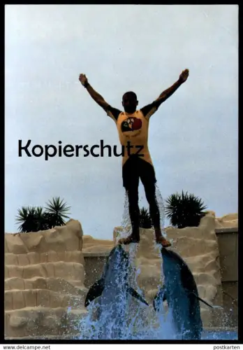 ÄLTERE POSTKARTE LORO PARQUE TENERIFE DELFINARIO DELPHIN-SHOW Delfine Delfin Dolphin Dauphin Tierpark Zoo Teneriffa man